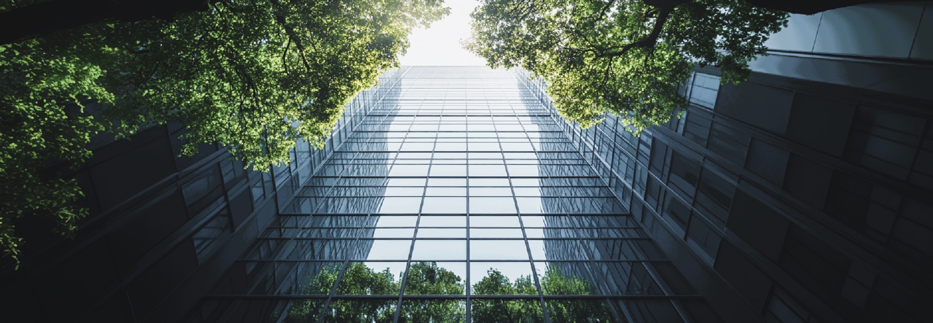 Ein Bürogebäude aus Glas hinter Bäumen