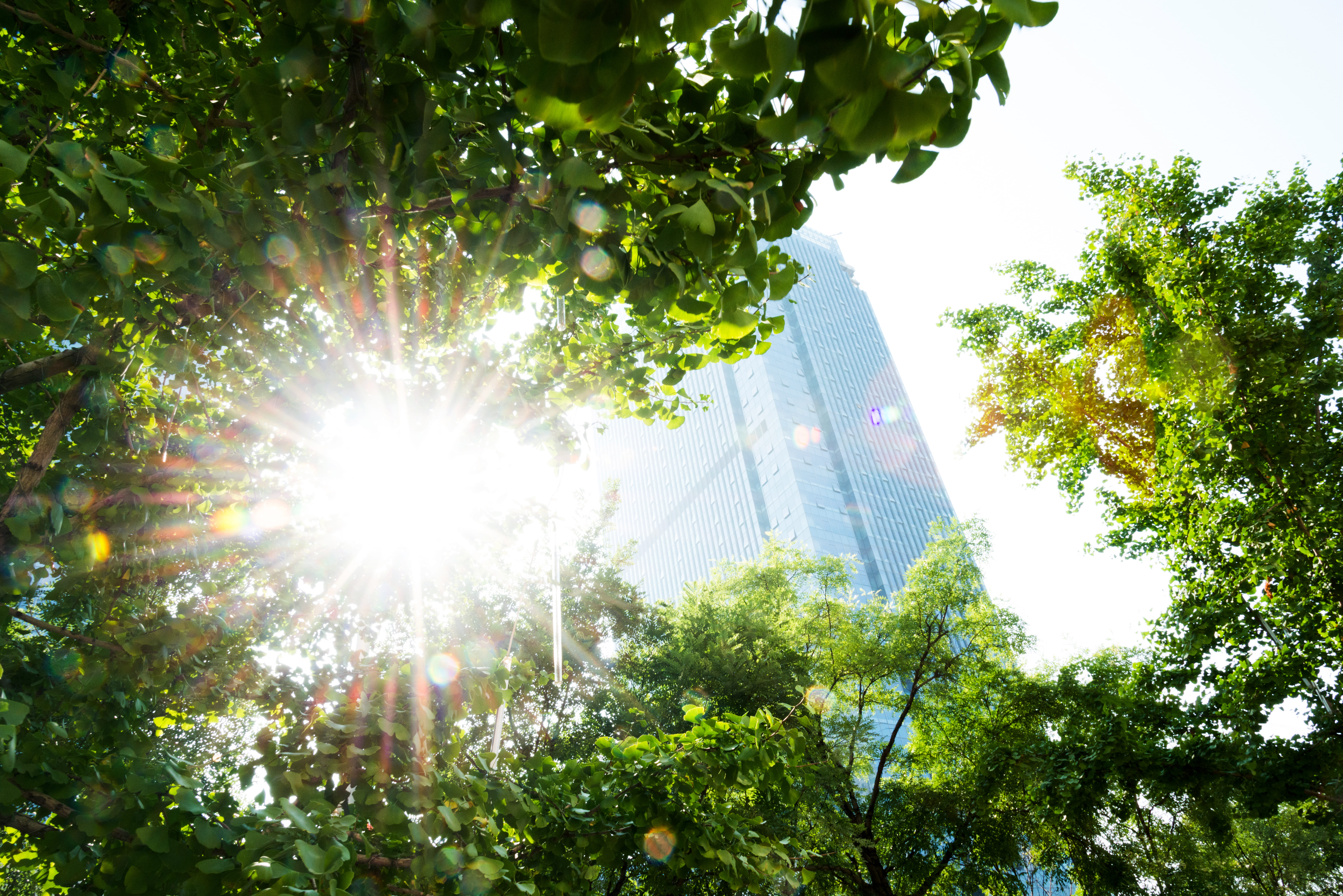 7360x4912-sustainability-actible-040423-de-050423